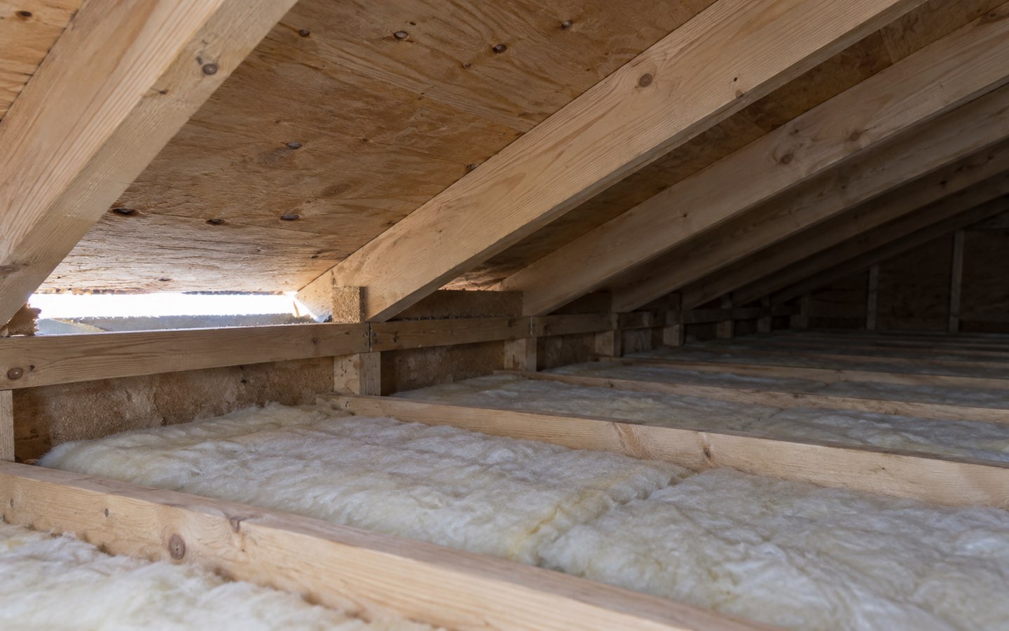 Inside an attic, with a slot of daylight at the eave where the roof meets the wall